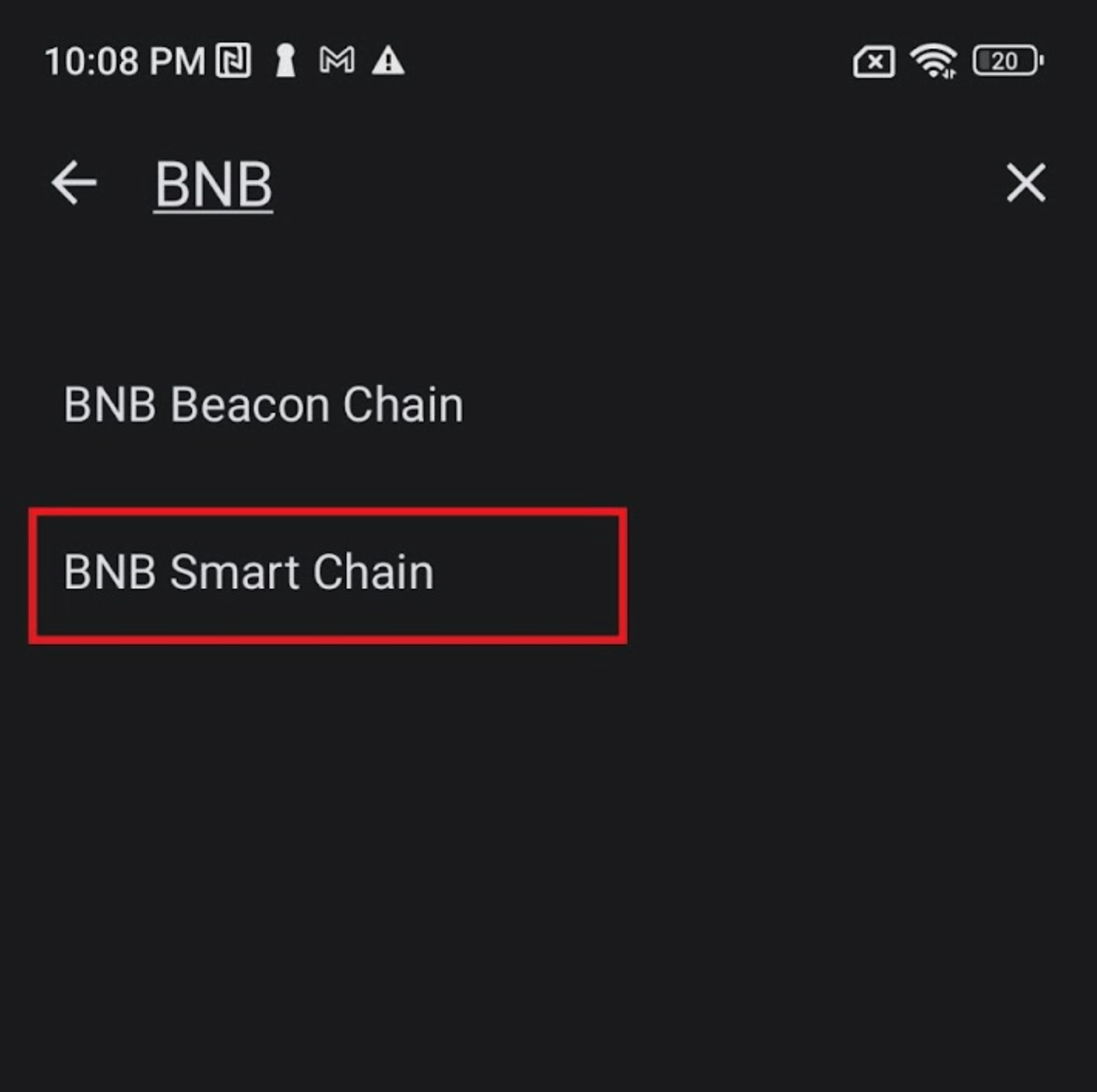 TrustWallet Settings - Step 3 - Choose Network